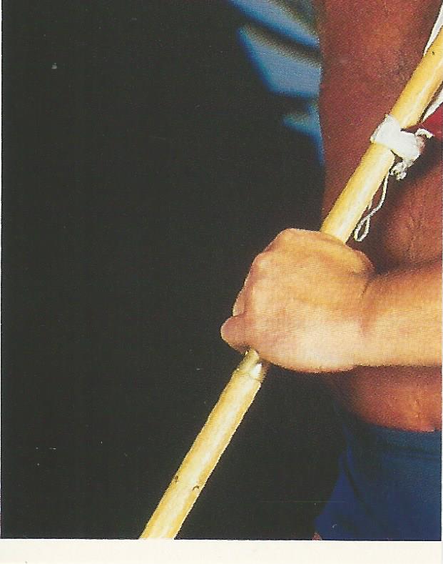 WWF Merlin Stickers 1991 Hacksaw Jim Duggan #370