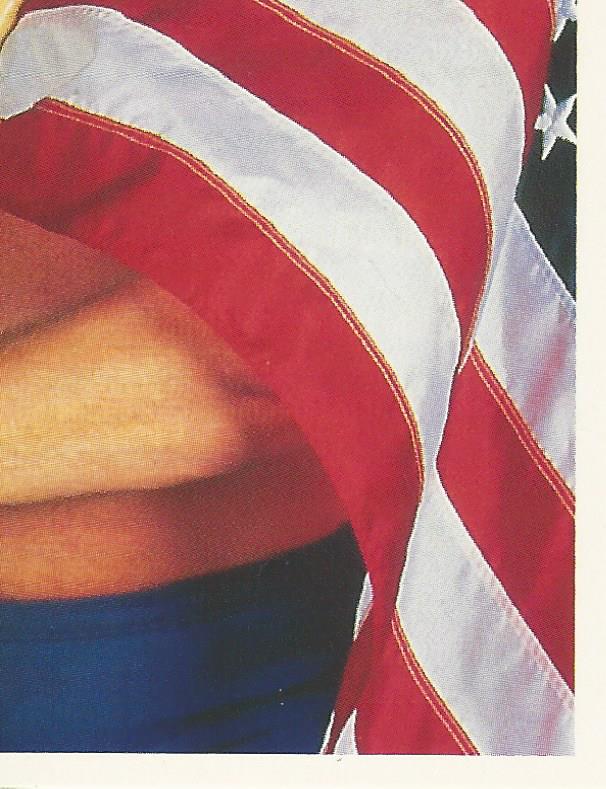 WWF Merlin Stickers 1991 Hacksaw Jim Duggan #371