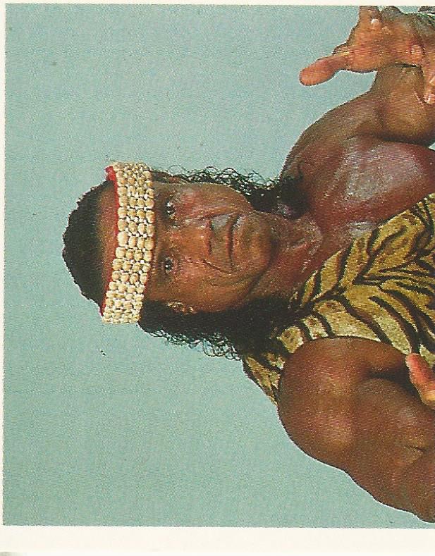 WWF Merlin Stickers 1991 Jimmy Snuka #376