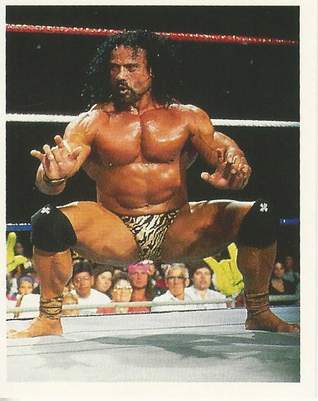 WWF Merlin Stickers 1991 Jimmy Snuka #378