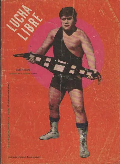 Lucha Libre Volume 379 Magazine PWcatalog
