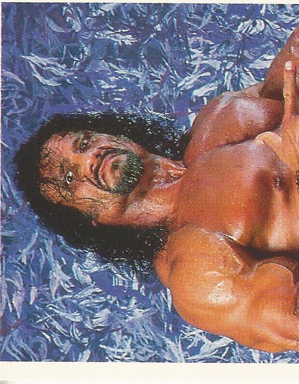 WWF Merlin Stickers 1991 Jimmy Snuka #379