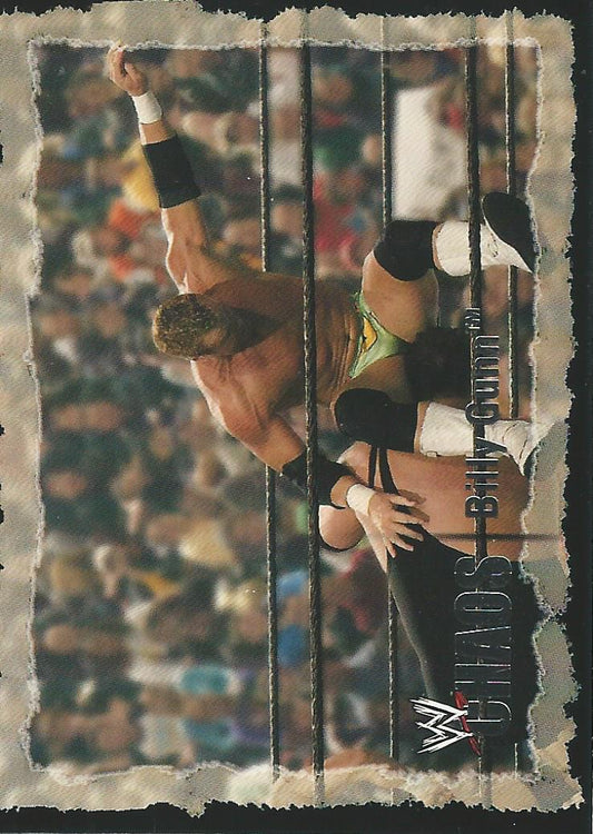 WWE Fleer Chaos 2004 Billy Gunn #37