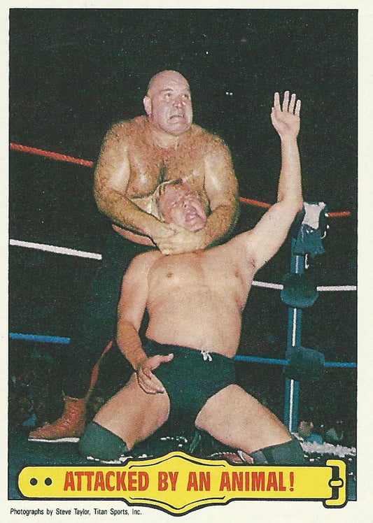 WWF Topps Wrestling Cards 1985 George Steele No.37 PWcatalog