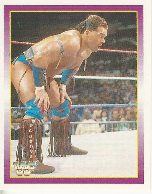 WWF Merlin Stickers 1995 Tatanka #37