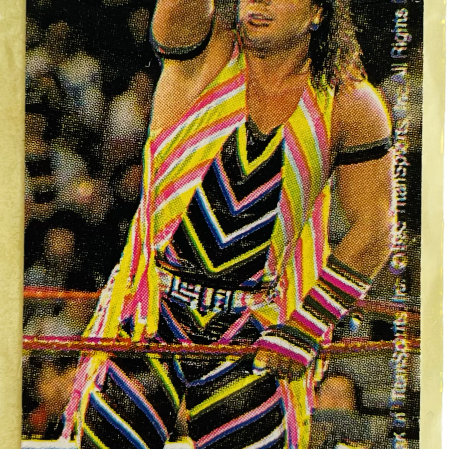 WWF Dunkin Bubble Gum Stickers (1993) No. 37 Marty Jannetty PW Catalog
