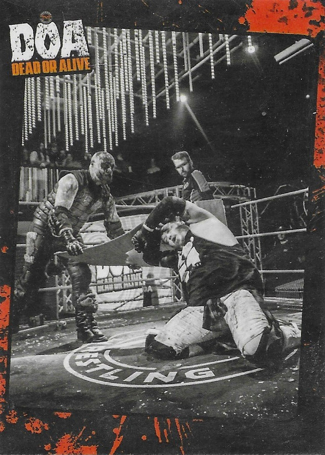 DOA Dead or Alive Ring Action trading card PW Catalog