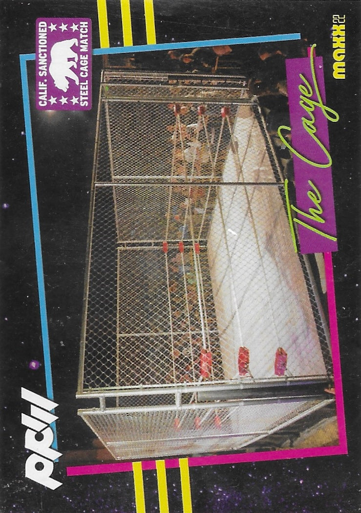 The Steel Cage Match
