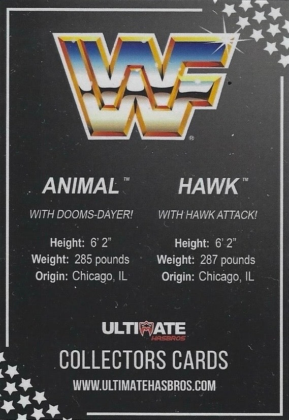 Animal / Hawk