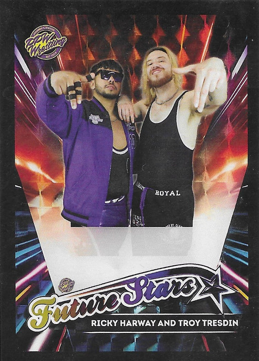Ricky Harway and Troy Tresdin trading card PW Catalog