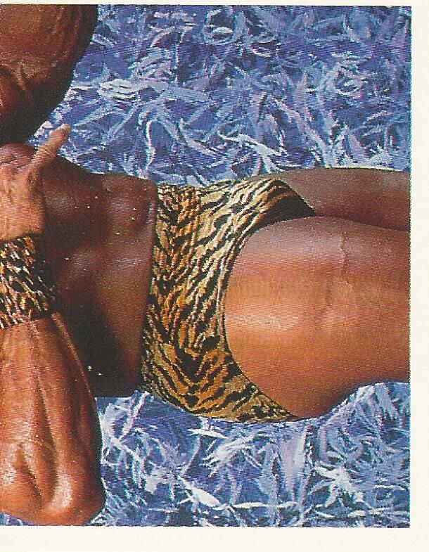 WWF Merlin Stickers 1991 Jimmy Snuka #380