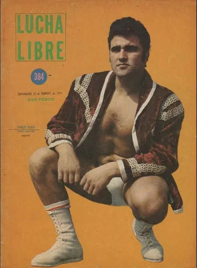 Lucha Libre Volume 384 Magazine PWcatalog