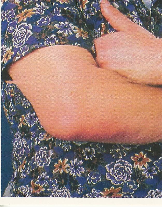 WWF Merlin Stickers 1991 Andre the Giant #384
