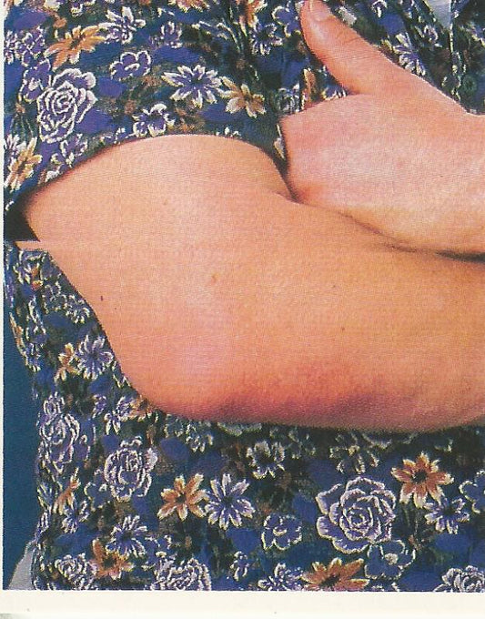 WWF Merlin Stickers 1991 Andre the Giant #384