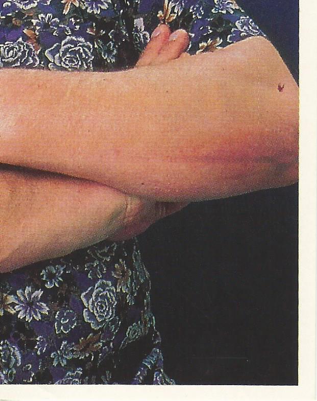 WWF Merlin Stickers 1991 Andre the Giant #385
