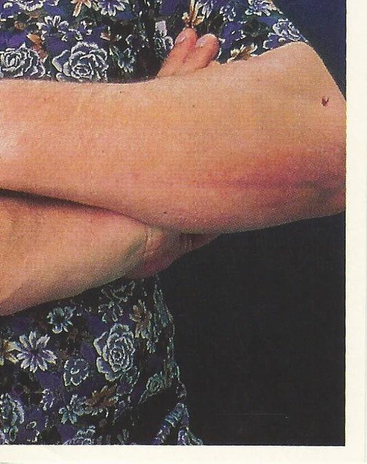 WWF Merlin Stickers 1991 Andre the Giant #385