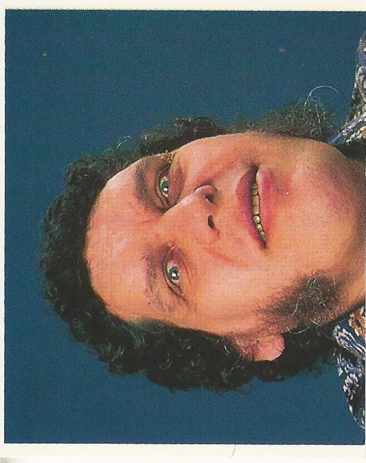 WWF Merlin Stickers 1991 Andre the Giant #387