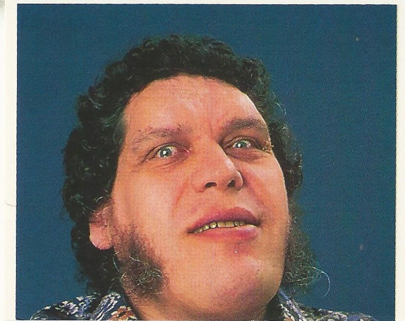 WWF Merlin Stickers 1991 Andre the Giant #387