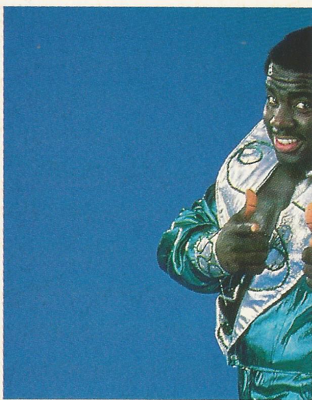 WWF Merlin Stickers 1991 Koko B Ware #389