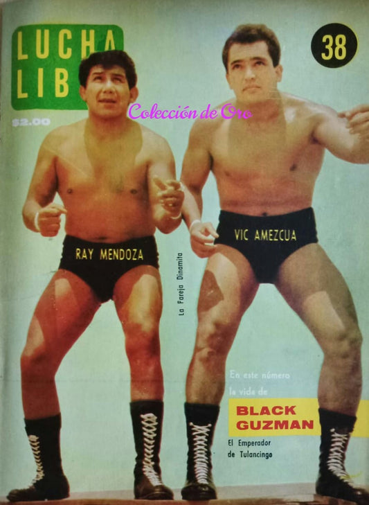 Lucha Libre Vol. 38