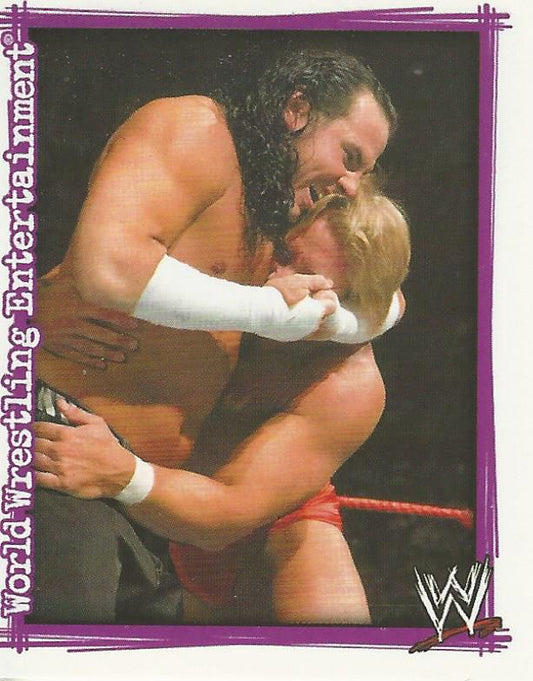 WWE Topps Superstars Uncovered 2007 Sticker Matt Hardy #38