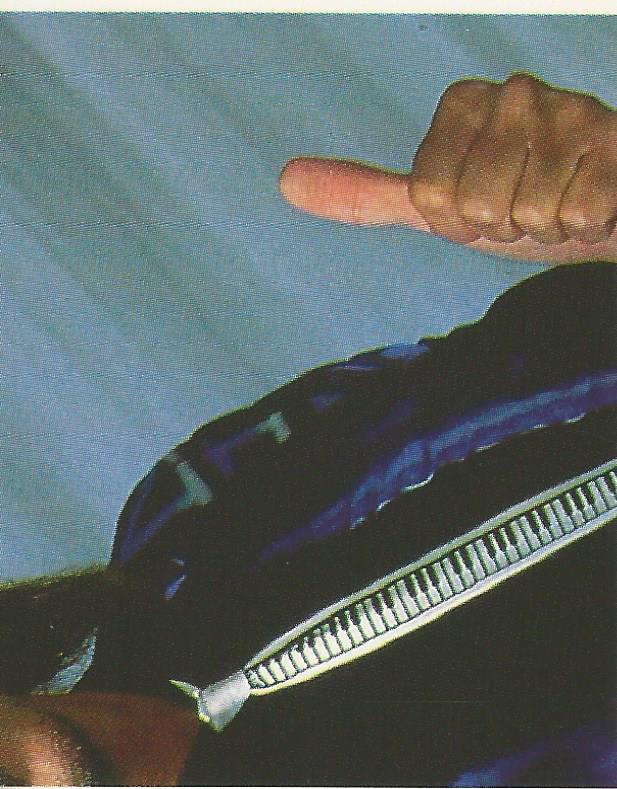 WWF Merlin Stickers 1991 Jimmy Hart #38