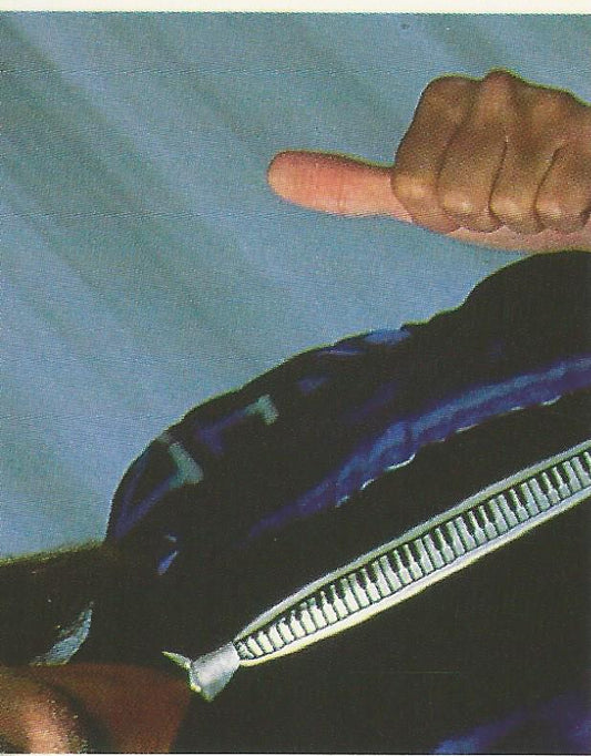 WWF Merlin Stickers 1991 Jimmy Hart #38