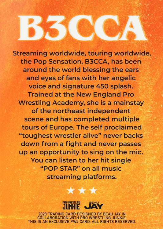 Popstar Sensation B3cca trading card PW Catalog