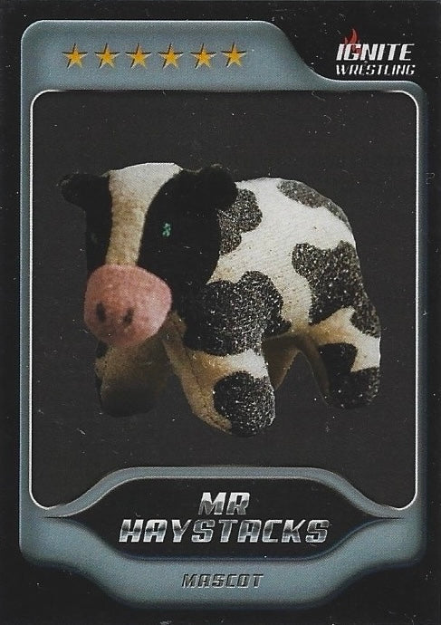 MR Haystacks