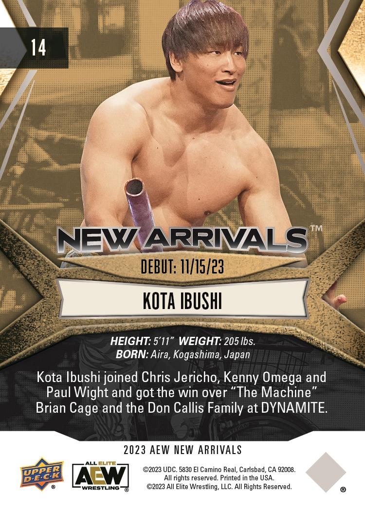 Kota Ibushi