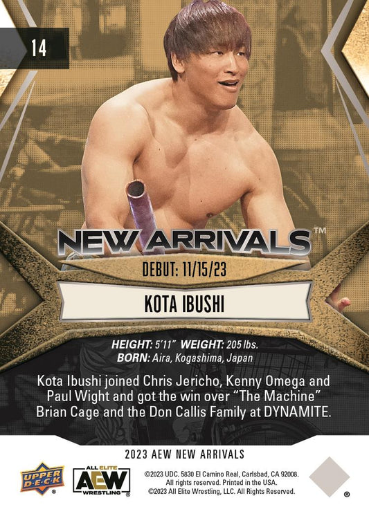Kota Ibushi
