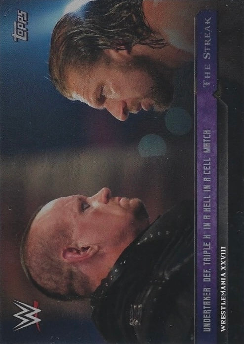 Wrestlemania Xxviii – Undertaker DEF. Triple H in a Hell in a Cell Match trading card PW Catalog