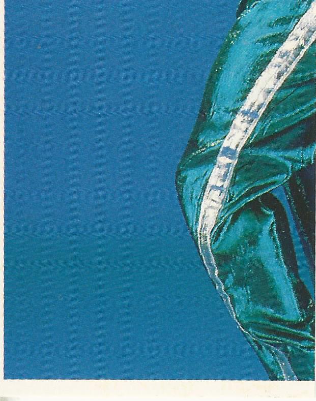 WWF Merlin Stickers 1991 Koko B Ware #391