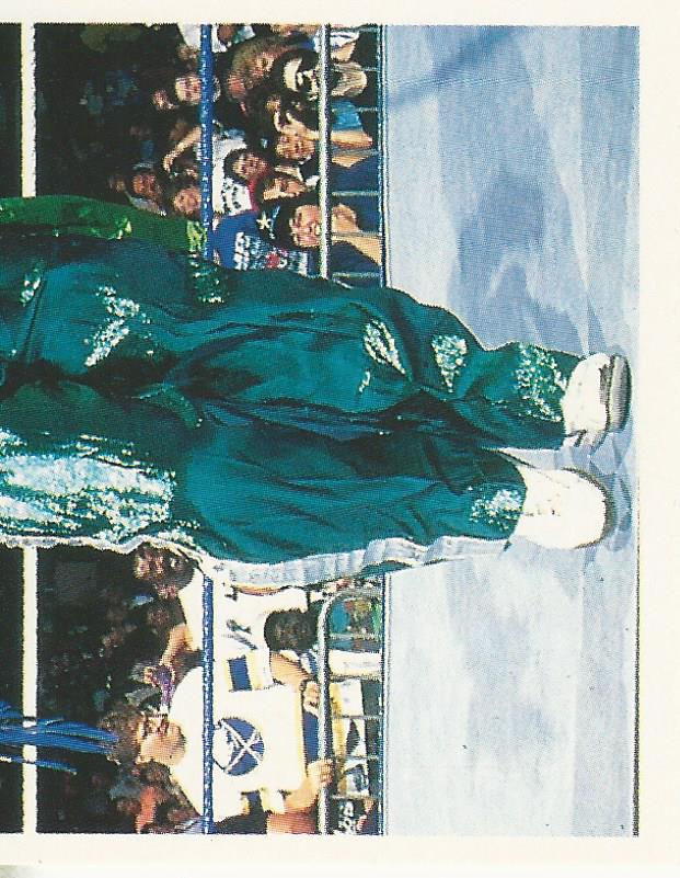 WWF Merlin Stickers 1991 Koko B Ware #395