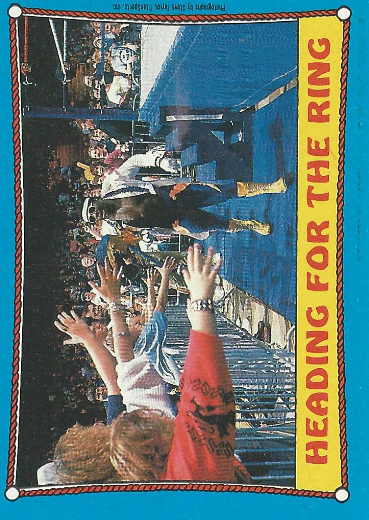Topps WWF Wrestling Cards1987 KoKo B Ware #39