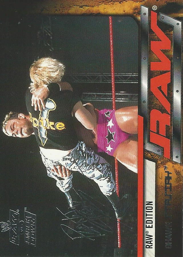 WWE Fleer Raw vs Smackdown 2002 Shawn Stasiak #39