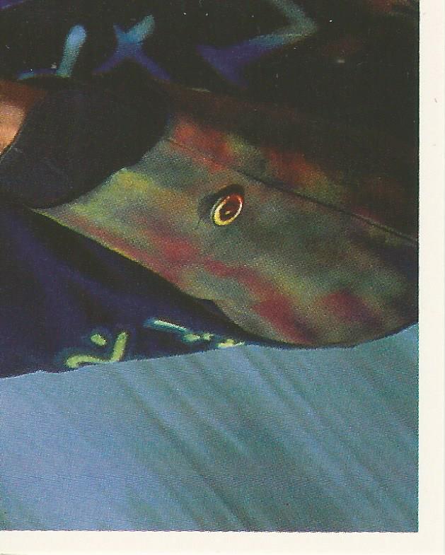 WWF Merlin Stickers 1991 Jimmy Hart #39