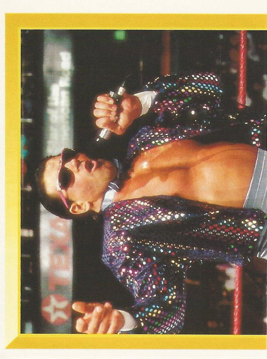 WWF Merlin Sticker 1994 Rick Martel #39