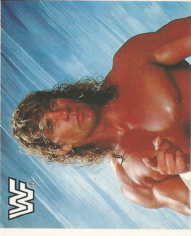 WWF Merlin Sticker Collection 1990 Texas Tornado #39