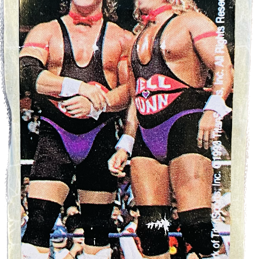 WWF Dunkin Bubble Gum Stickers (1993) No. 3 Well Dunn PW Catalog
