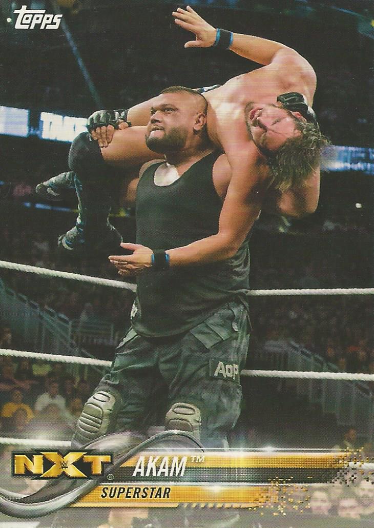 WWE Topps 2018 Akam #3