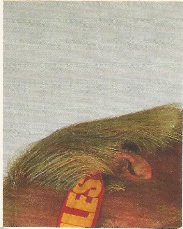 WWF Merlin Sticker Collection 1990 Hulk Hogan #3