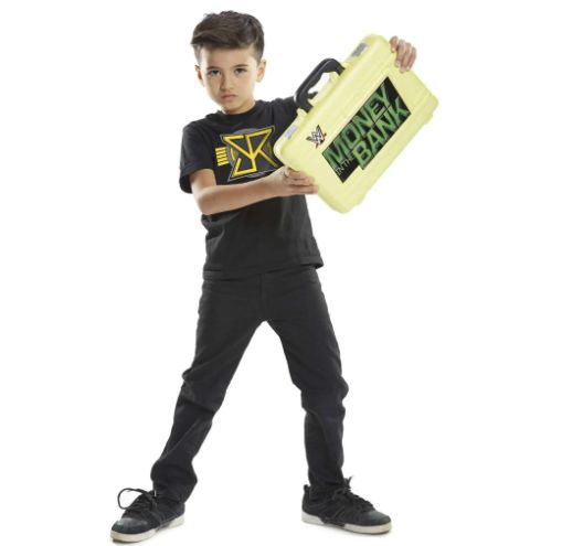 WWE Seth Rollins Dress-Up with Money in the Bank Briefcase PWcatalog