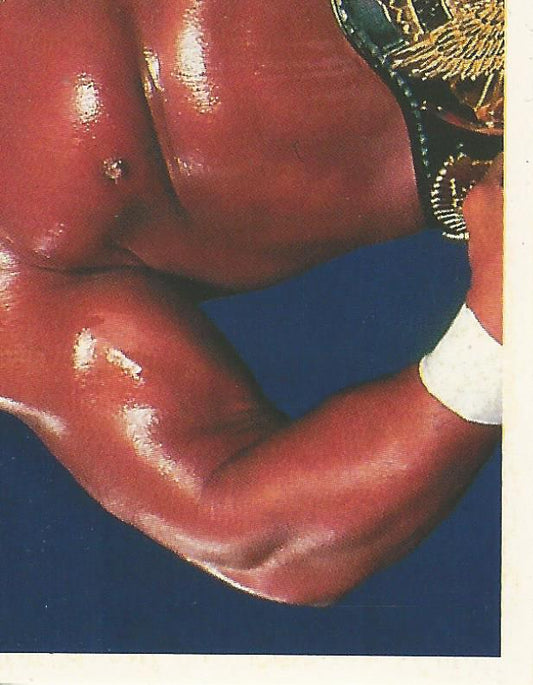 WWF Merlin Stickers 1991 Hulk Hogan #3