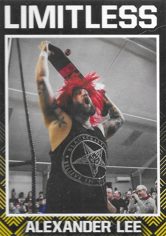 Alexander LEE trading card PW Catalog