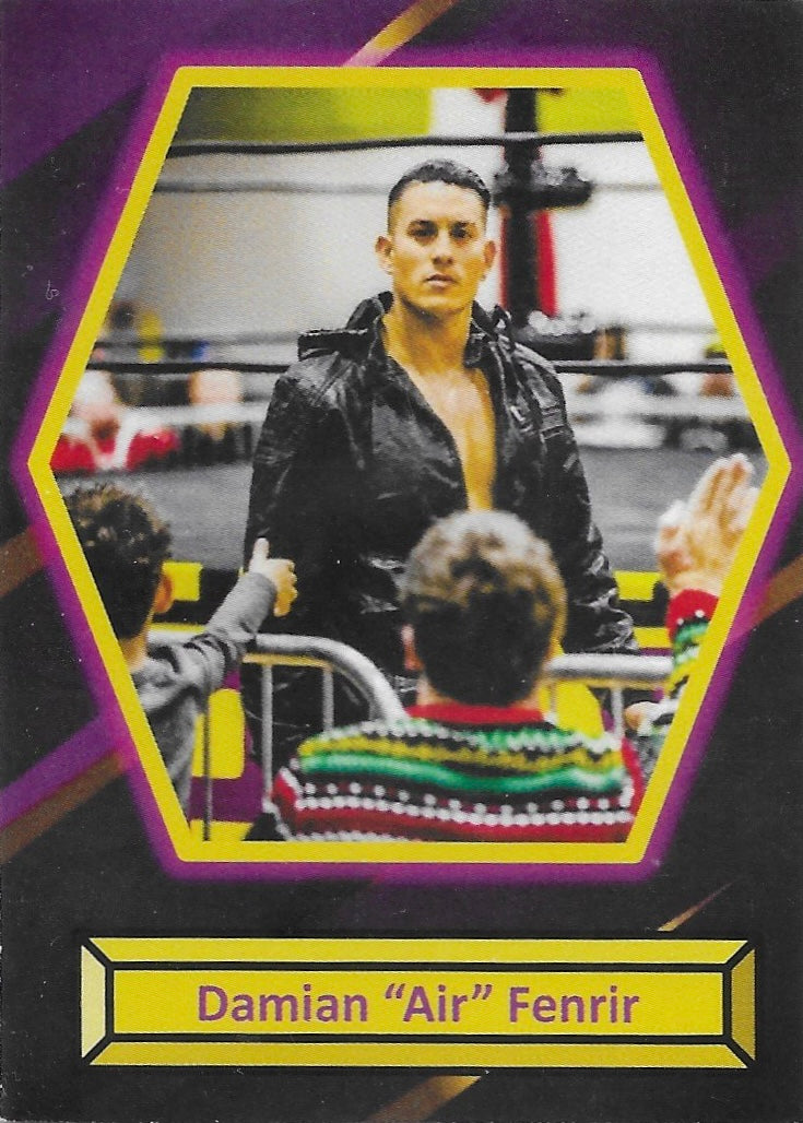 Damian “AIR” Fenrir trading card PW Catalog