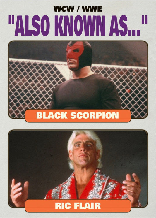 Black Scorpion / RIC Flair trading card PW Catalog