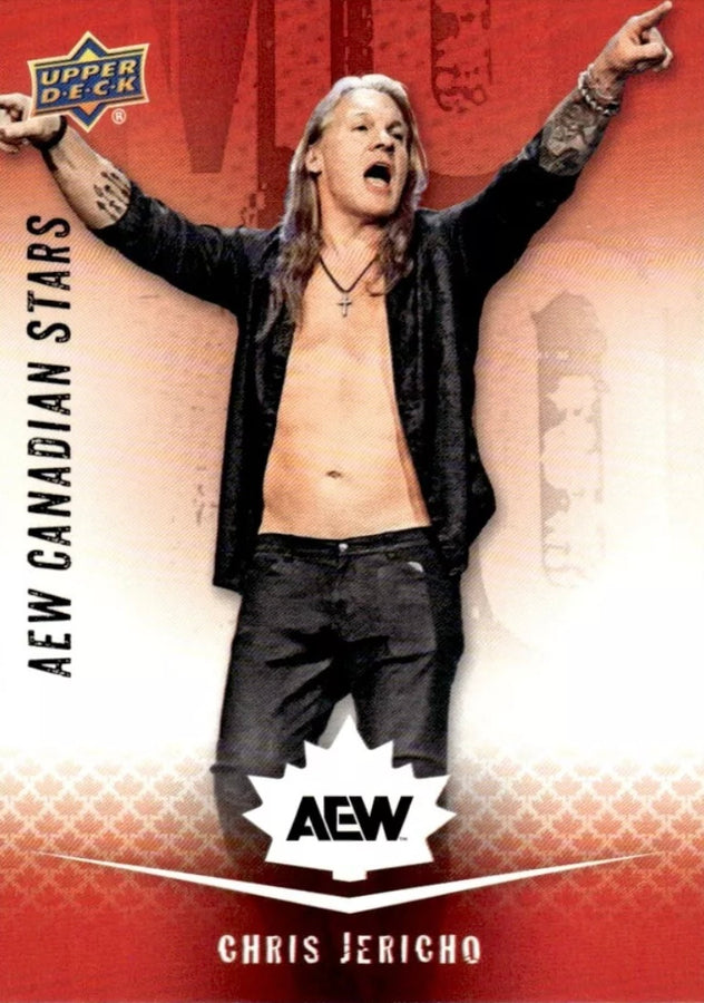 AEW Canadian Stars – Chris Jericho
