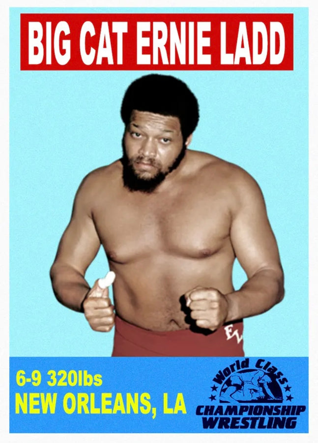 Big Cat Ernie Ladd