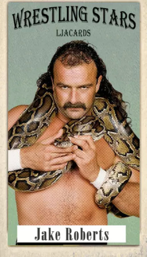 Jake Roberts